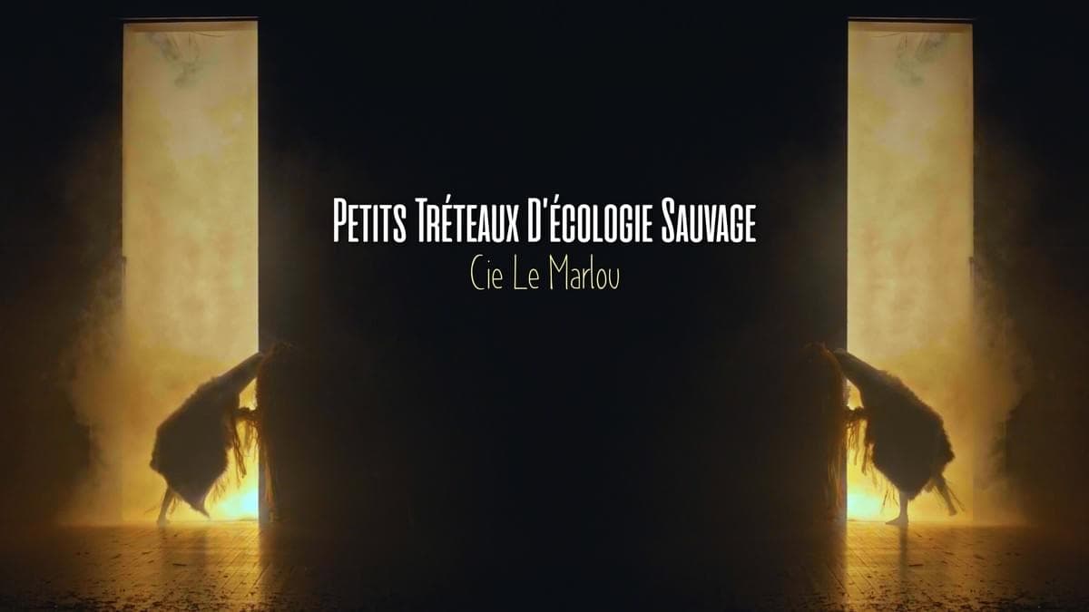 Dossier artistique — Petits tréteaux d'écologie sauvage